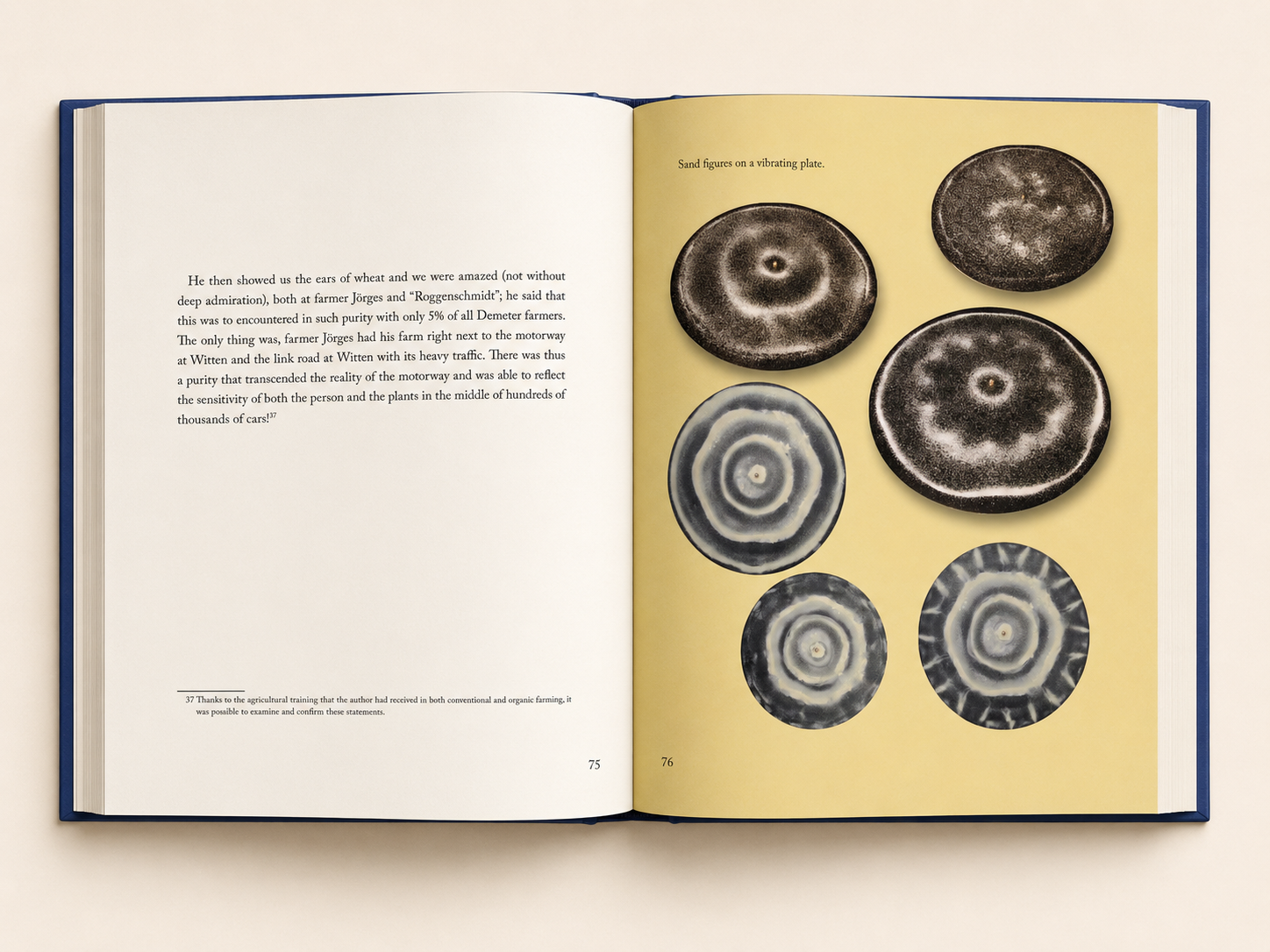 Atmani - The Tone of the Earth and the Tone of the Man – Bild 2